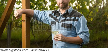 Cropped Enologist Man Relax With Wine Glass At Winery Outdoor, Winegrower