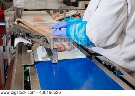 Meat Processing Plant.people Working At A Chicken Factory - Stock Photo.automated Production Line In