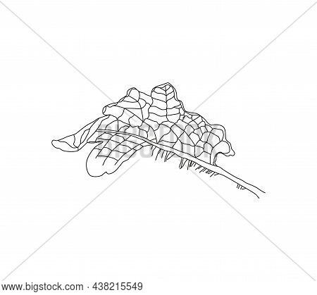 Annual Herbaceous Plant Celandine, Celandine Root, Medicinal Plant. Non-traditional Medicine.