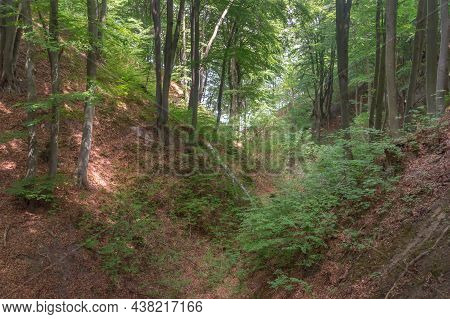 Fox Ravine (lisi Jar) At Summer Time In Jastrzebia Gora, Poland.