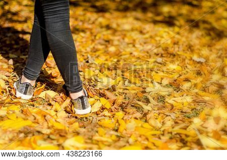 Young Girl Legs Close-upstands On Yellow Fallen Leaves In Park. Golden Autumn Day. Back View. Girl W