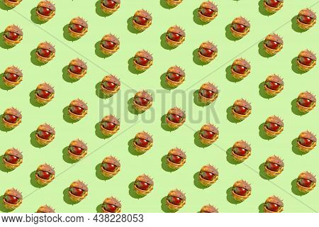 Creative Pattern Made Of Chestnuts On Sunlit Green Pastel Background. Nature Consept. Falll And Autu