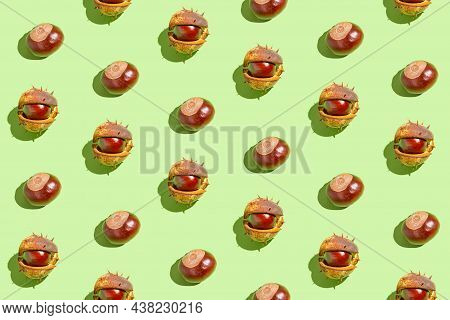 Creative Pattern Made Of Chestnuts On Sunlit Green Pastel Background. Nature Consept. Falll And Autu