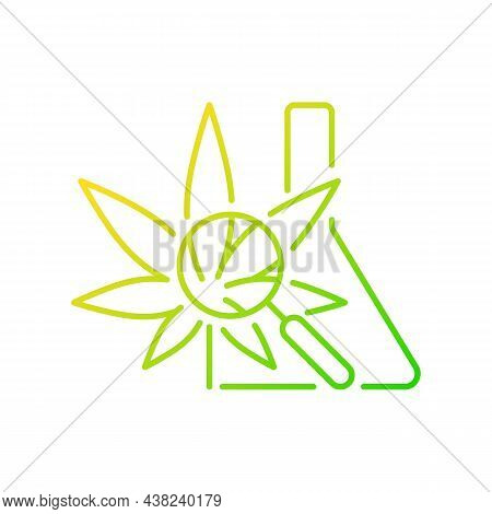 Medical Cannabis Research Gradient Linear Vector Icon. Plant-based Medicine Evaluation. Herbal Drug 