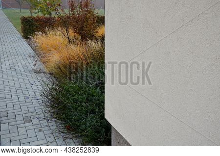 Flowerbed With Ornamental Grasses Dry Leaves In The Autumn Sun Shines Yellow Bunches Of Leaves. In T