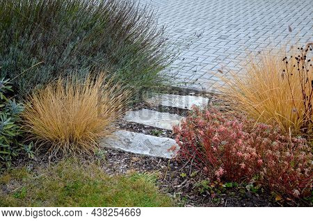 Flowerbed With Ornamental Grasses Dry Leaves In The Autumn Sun Shines Yellow Bunches Of Leaves. In T