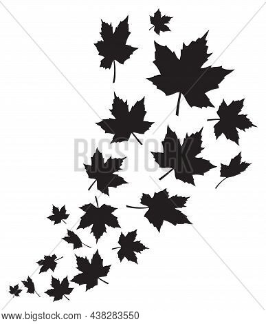 Swirl Of Falling Maple Leaves. Black And White Vector Illustration.