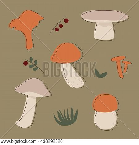 Set Of Six Different Mushrooms With Berries And Grass