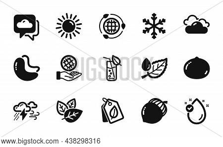 Vector Set Of Acorn, Vitamin E And Weather Forecast Icons Simple Set. Bad Weather, Eco Energy And Sa