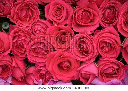 fiori