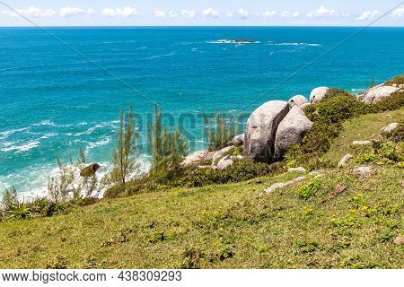 Beach View With Waves, Rocks And Vegetation