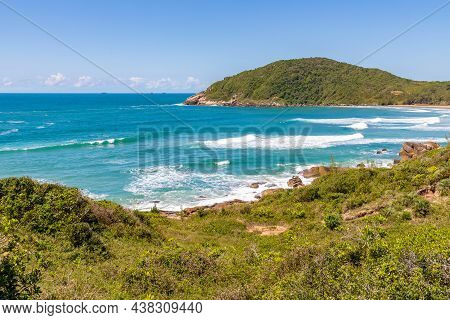 Beach View With Waves And Vegetation