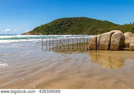 Beach View With Waves And Vegetation