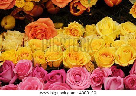 fiori