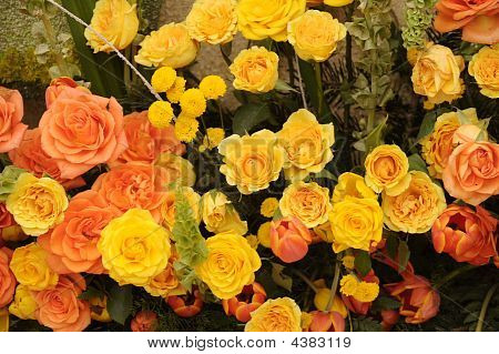 fiori