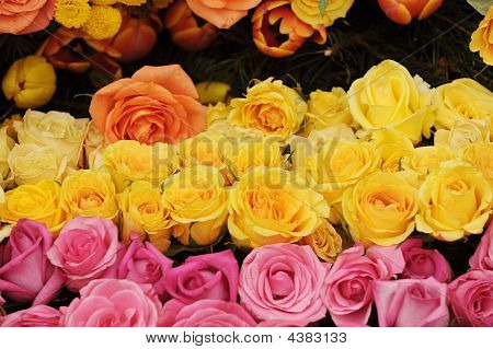 fiori