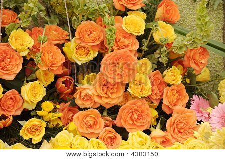 fiori