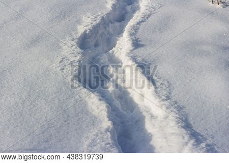 A Well-trodden Path Through The Fallen White Snow In Winter In A Field
