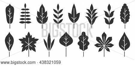 Leaf Floral Branch Black Flat Set. Plant Tree Bush. Holiday Invitation Postcard Decorative Element. 