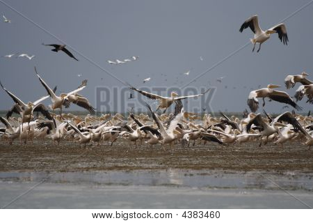 Take-off
