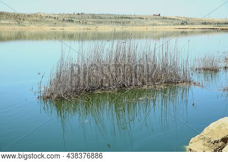 The Blue Mirror Surface Of The Lakes Water Reflects The Stems Of The Grass Standing Near The Shore .