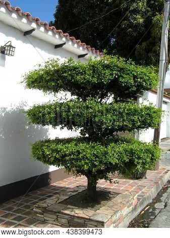 The Magnificent Architecture Of South America. Venezuela. Maracay. Colonial Style. A Picturesque Col