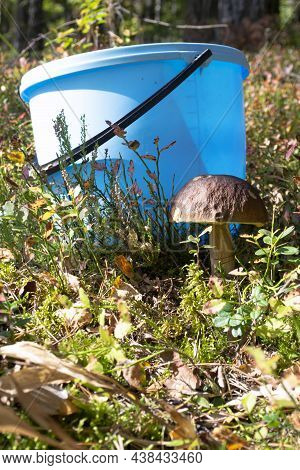 A Blue Bucket With Mushroom Cep Boletus Edulis Growing Among A Grass. Vertical Image