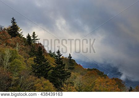 Autumn Color Peeks Out Of The Morning Mist Ay The Mills Overlook Or Oconaluftee Overlook In, Great S