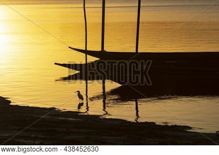 Silhouette At Sunset Of Canoes Docked In The Grandiose Paraguacu River.