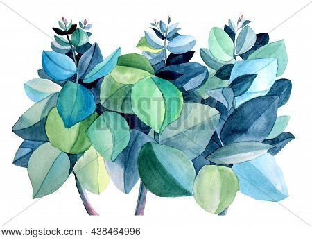 Blue And Green Watercolor Hand Painting Eucalyptus Leaves Isolated On White Background. Clip Art