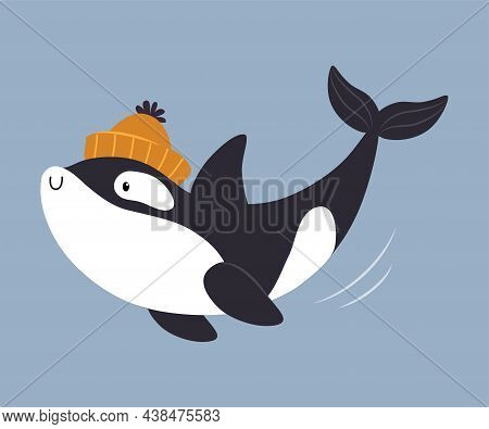 Cute Killer Whale Or Orca As Arctic Animal Swimming In Knitted Hat Vector Illustration