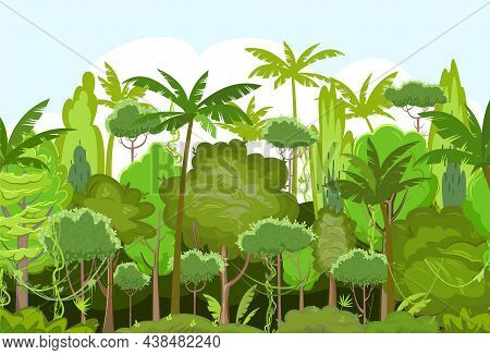 Shady Jungle Background. Plants Rainforest. Beautiful Green Landscape With Exotic Trees And Palms. C