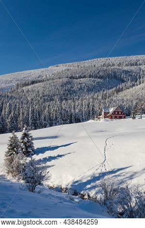 Winter landscape around Horni Mala Upa, Giant Mountains (Krkonose), Northern Bohemia, Czech Republic