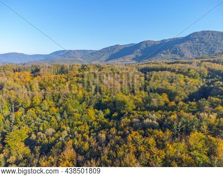 Jizera Mountain Beechwood, Czech: Jizerskohorske Buciny, Unesco World Heritage. Autumn Time Colorful
