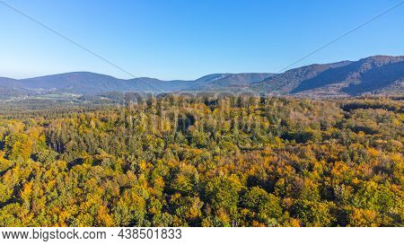 Jizera Mountain Beechwood, Czech: Jizerskohorske Buciny, Unesco World Heritage. Autumn Time Colorful