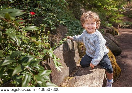 Cute Little Boy Walking In The Park. Child Is Studying The Environment. Happy Childhood. Smiling Boy