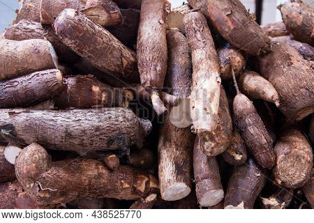 Manihot Esculenta, Commonly Called Cassava, Manioc, Yuca, Macaxeira, Mandioca And Aipim, At The Food