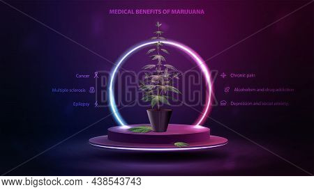 Medical Benefits Of Marijuana, Poster With Podium Floating In The Air With Bush Of Cannabis In A Pot