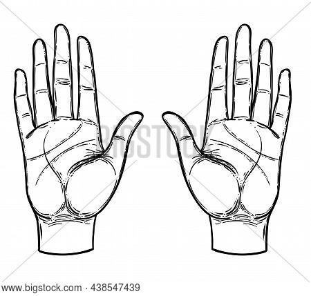 Vintage Hands. Hand Drawn Sketchy Illustration With Mystic And Occult Hand Drawn Symbols. Palmistry 