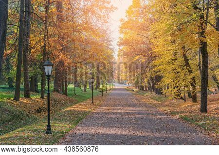 Straight Road In The City Patk At Autumn Evening.