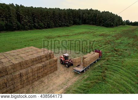 Farmer Unloading Round Bales Of Straw From Hay Trailer With A Front End Loader. Store Hay At Farm. H
