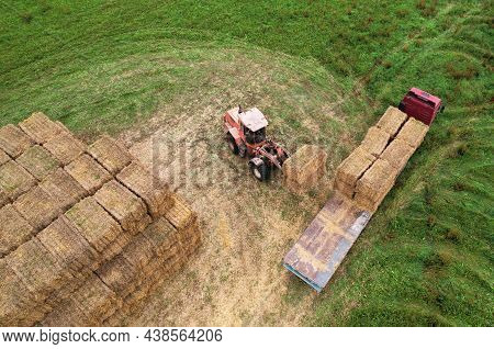 Farmer Unloading Round Bales Of Straw From Hay Trailer With A Front End Loader. Store Hay At Farm. H