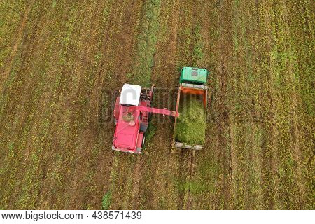 Forage Harvester Durind Grass Cutting For Silage In Field. Harvesting Biomass Crop. Self-propelled H