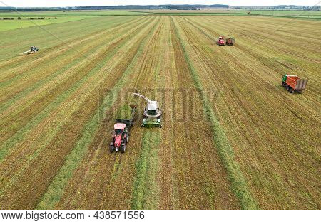 Forage Harvester Durind Grass Cutting For Silage In Field. Harvesting Biomass Crop. Self-propelled H