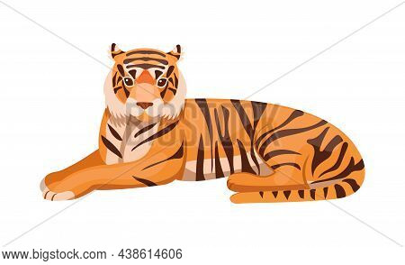 Adult Big Tiger Wildlife Ussurian Tiger Cartoon Flat