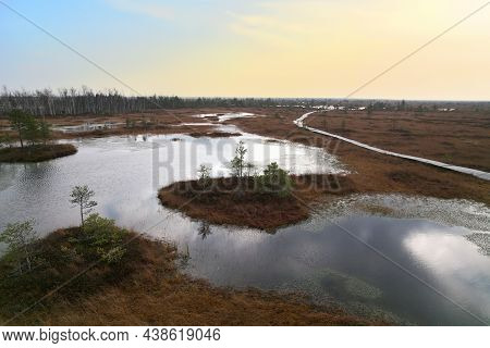 Swamp Yelnya In Autumn Landscape. Wild Mire Of Belarus. East European Swamps And Peat Bogs. Ecologic