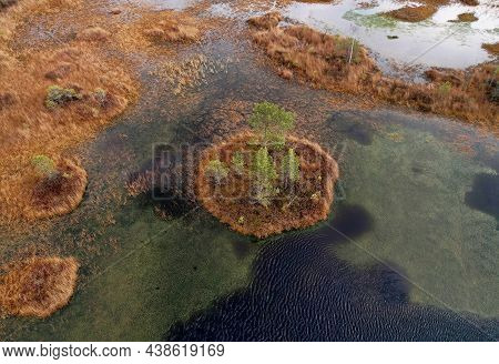 Swamp Yelnya In Autumn Landscape. Wild Mire Of Belarus. East European Swamps And Peat Bogs. Ecologic