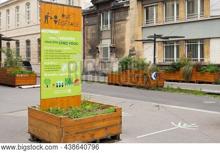 Paris, France - November 2nd 2019: Rue De Citeaux Planted With Flower Pots.