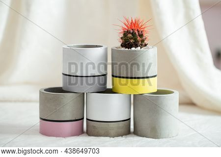 Cactus With Red Needles In A Concrete Pot On A Textile Background. Concrete Cache-pot. Fashion Trend