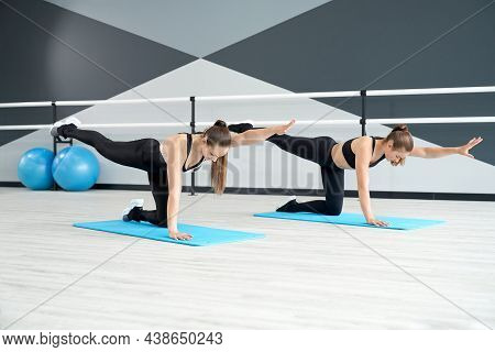 Side View Of Two Attractive Fit Women Training On Mats In Ballet Dance Studio With Handrails. Gorgeo